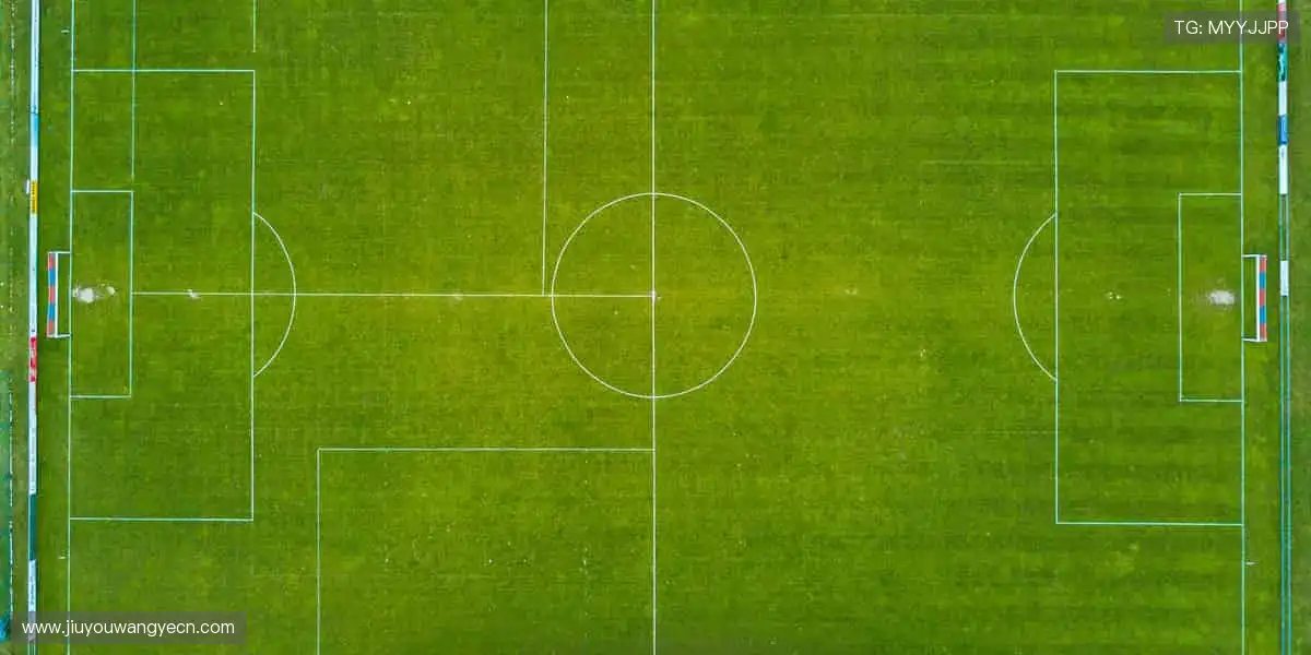 畅玩体育游戏世界:海量房间自由切换,社交互动不再孤单